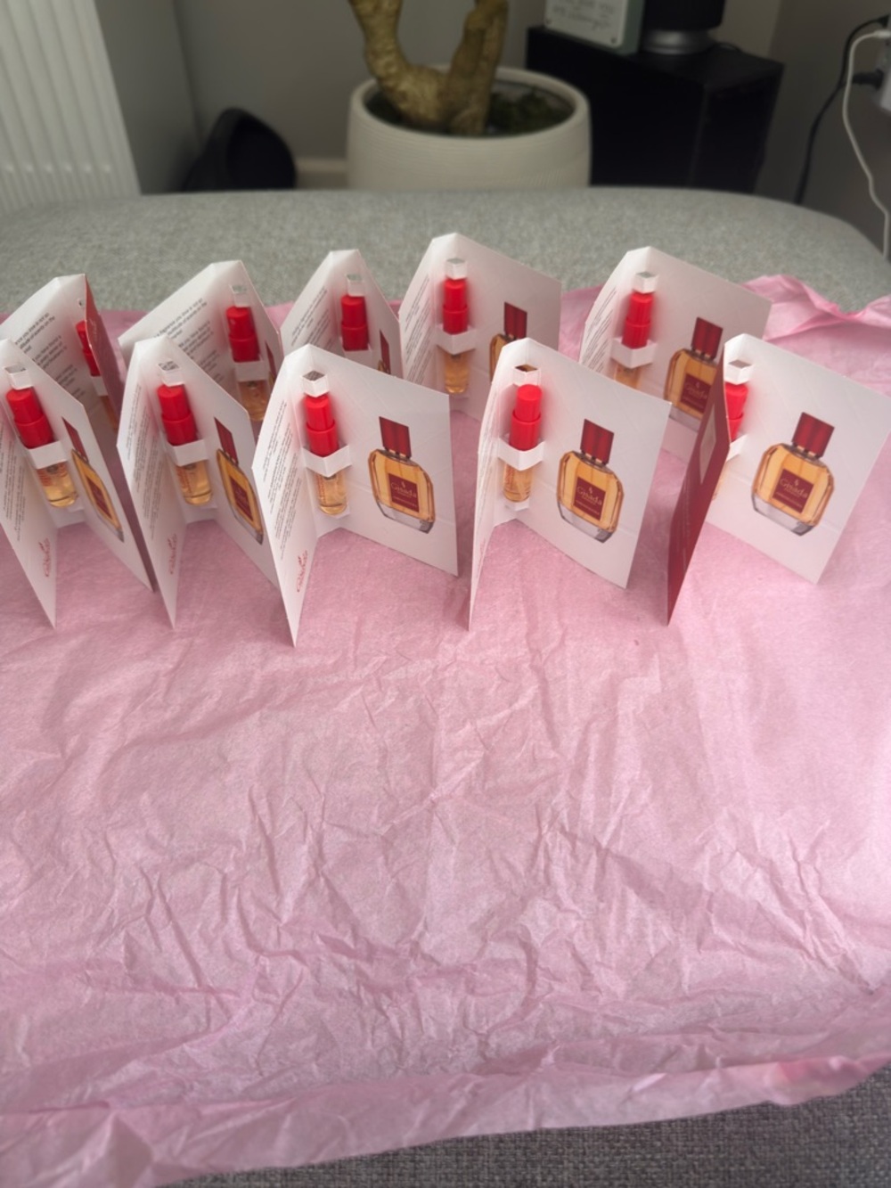 GISADA AMBASSADORA For Women Eau De Parfum Made In Switzerland